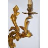 Pair of golden bronze sconces, style Louis XV, 19th