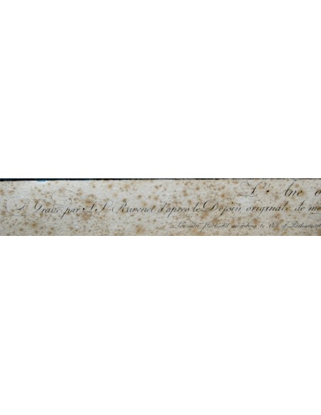 Grabado acuarelado del siglo XVIII.