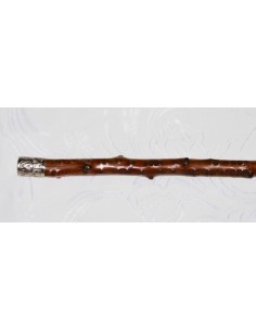rosewood walking stick, 19th 2