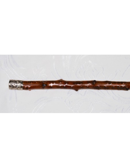 rosewood walking stick, 19th