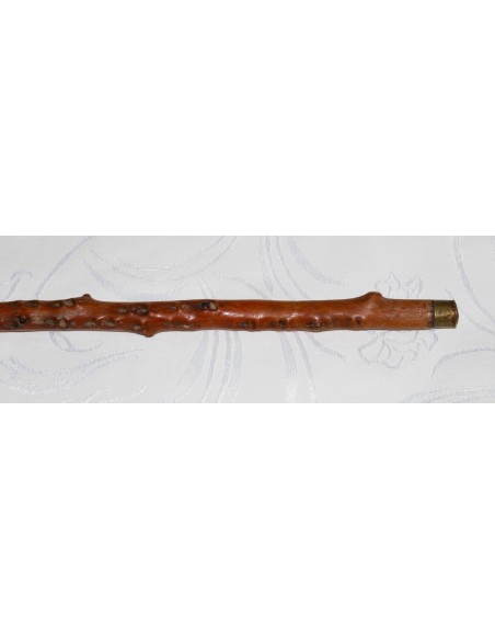 rosewood walking stick, 19th