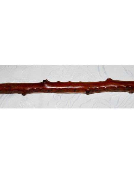 rosewood walking stick, 19th