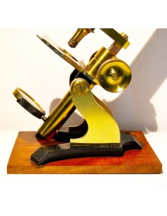 English microscope 19th 2