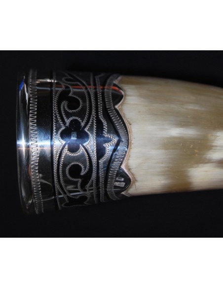 Pareja de polvoreras de asta y plata