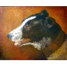 Ritratto di un “cane”, olio su tela del 700