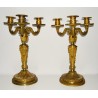 Coppia di candelabri di bronzo dorato