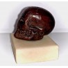 Memento Mori skull, 18th