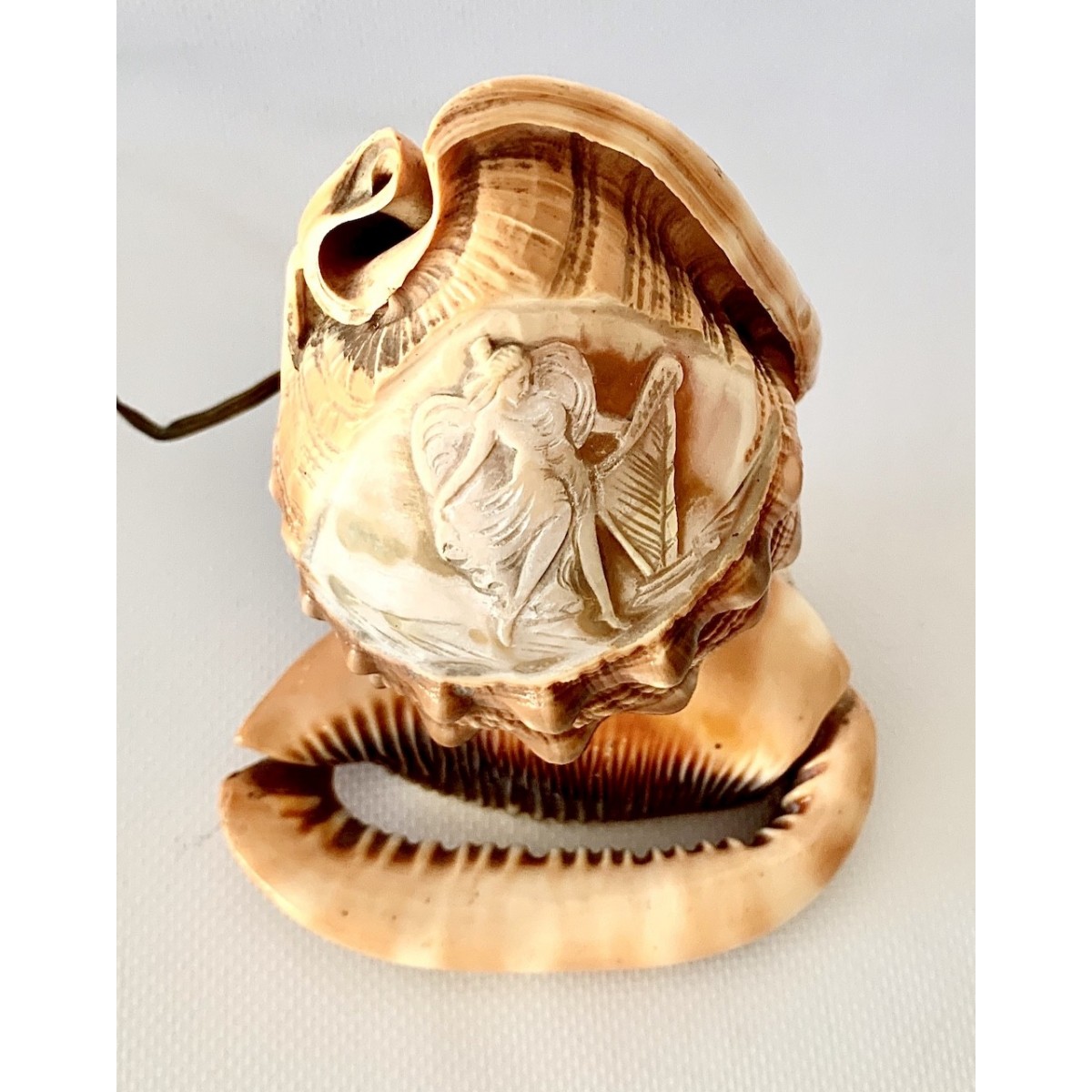 Lampara de mesa de conchas talladas 