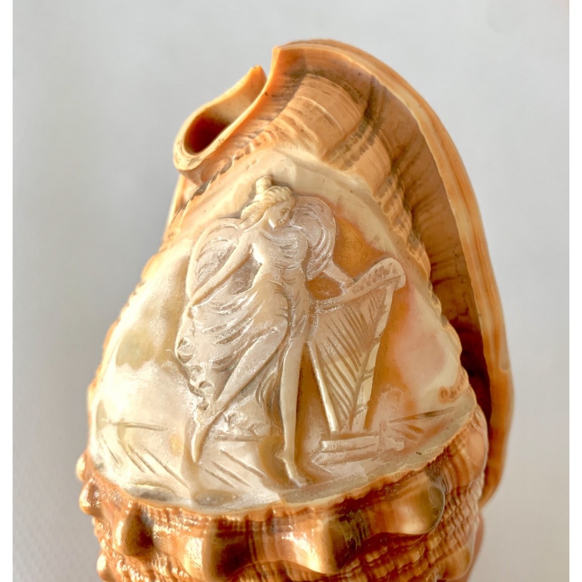 Lampara de mesa de conchas talladas 