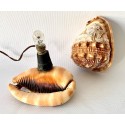 Lampara de mesa de conchas talladas 