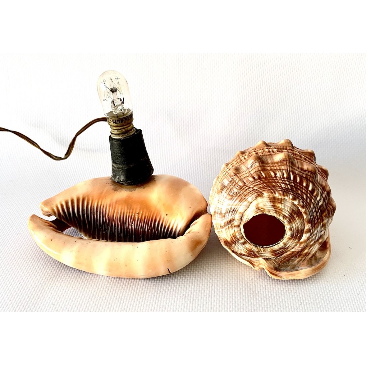 Lampara de mesa de conchas talladas 