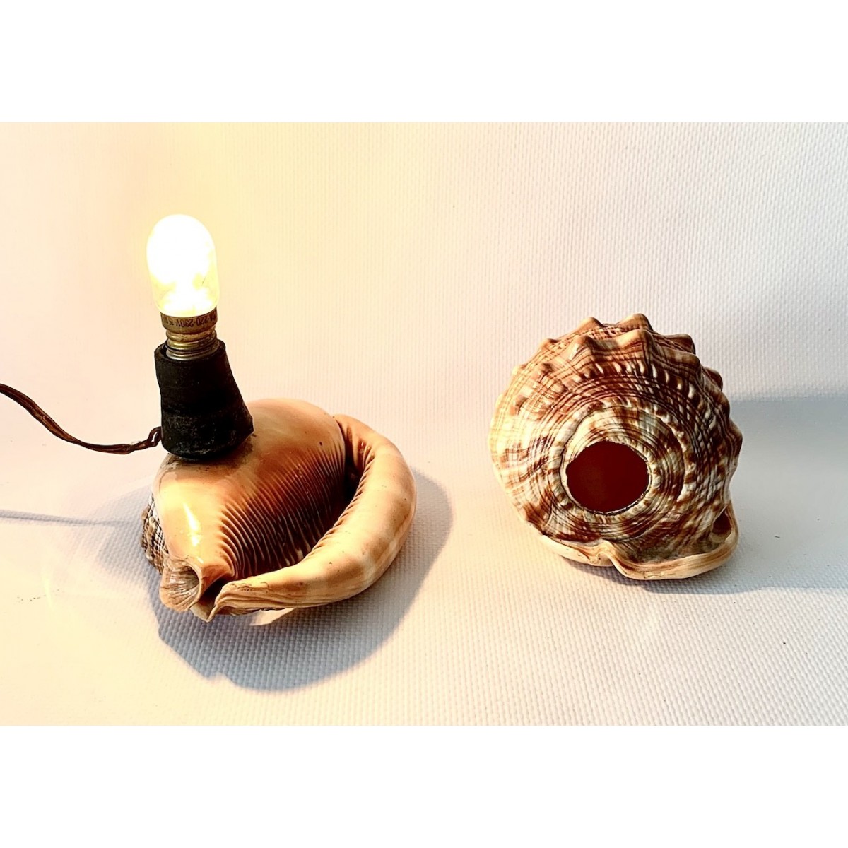 Lampara de mesa de conchas talladas 
