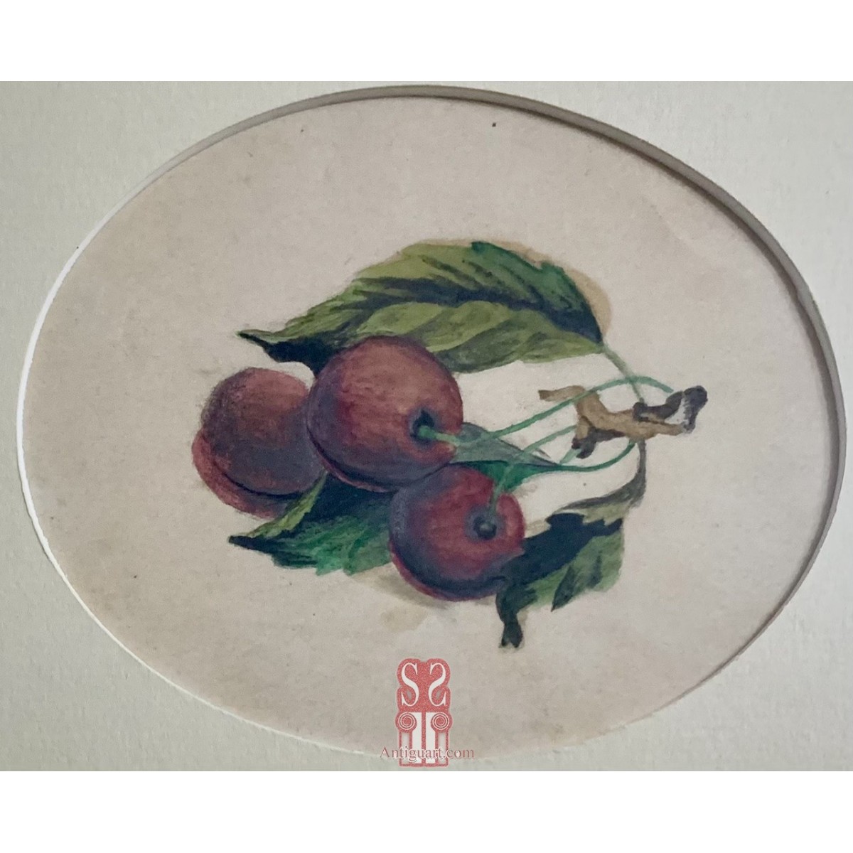 Cerezas, acuarela del siglo XIX