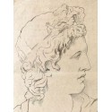 Apolo, dibujo académico del siglo XIX.