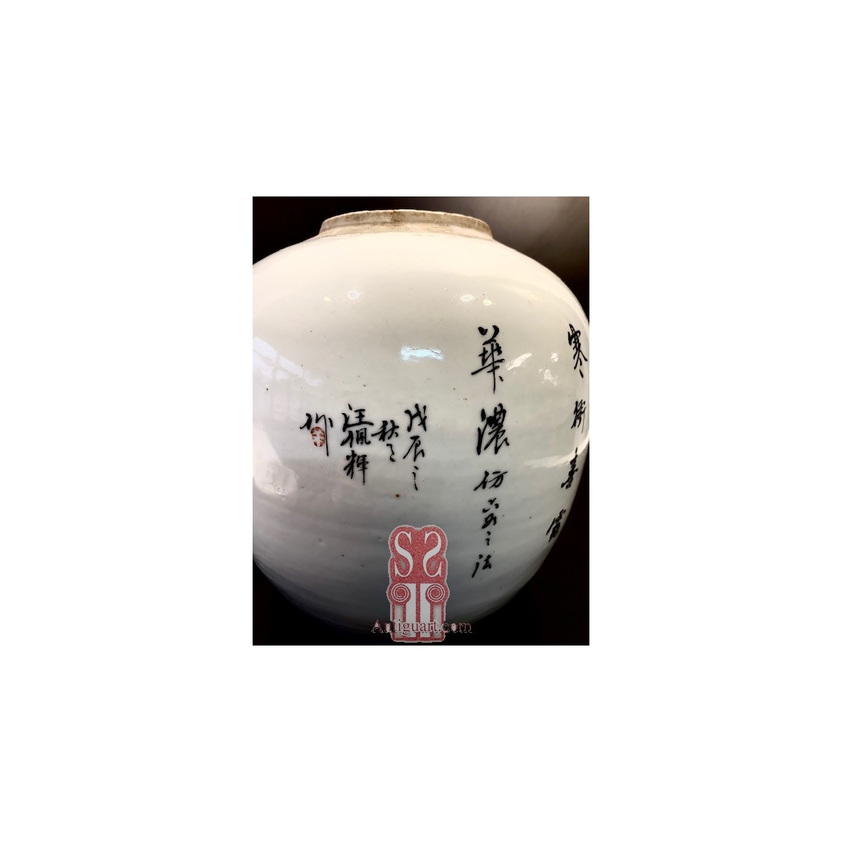 Jarrón chino de porcelana, Qing, siglo XIX