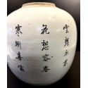 Jarrón chino de porcelana, Qing, siglo XIX