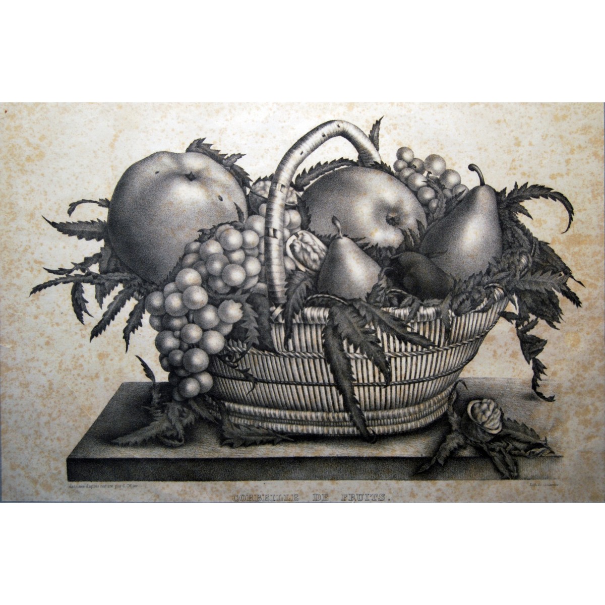 Bodegón de fruta, grabado de principio del siglo XX. 