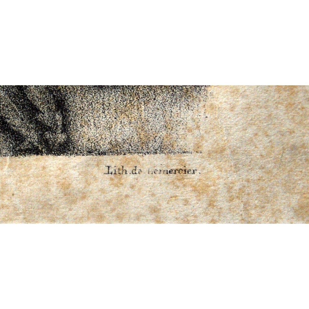 Bodegón de fruta, grabado de principio del siglo XX. 