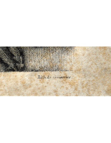 Bodegón de fruta, grabado de principio del siglo XX. 