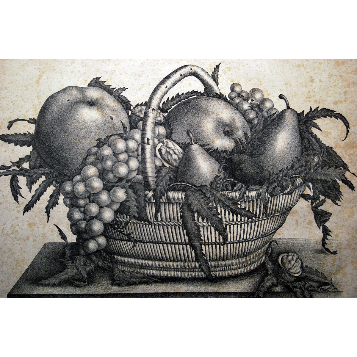 Bodegón de fruta, grabado de principio del siglo XX. 