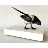 Magpie, polychrome Vienna bronze