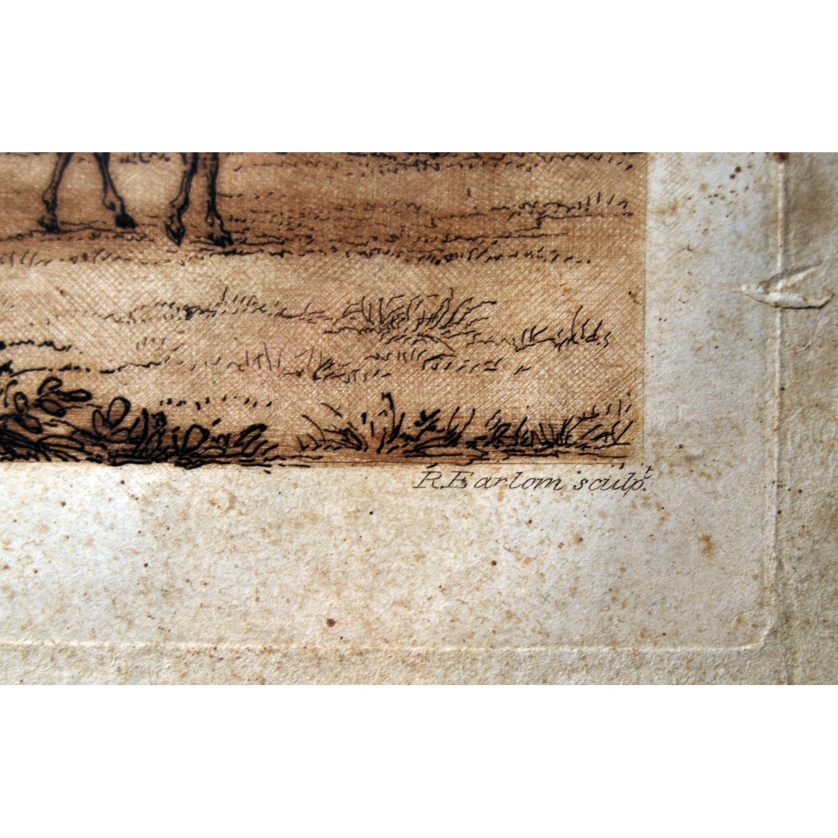 Grabado ingles, siglo XIX.