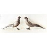 Pair silver pheasants 925 sterling
