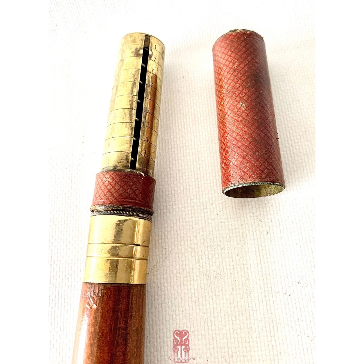 Walking stick coin holder