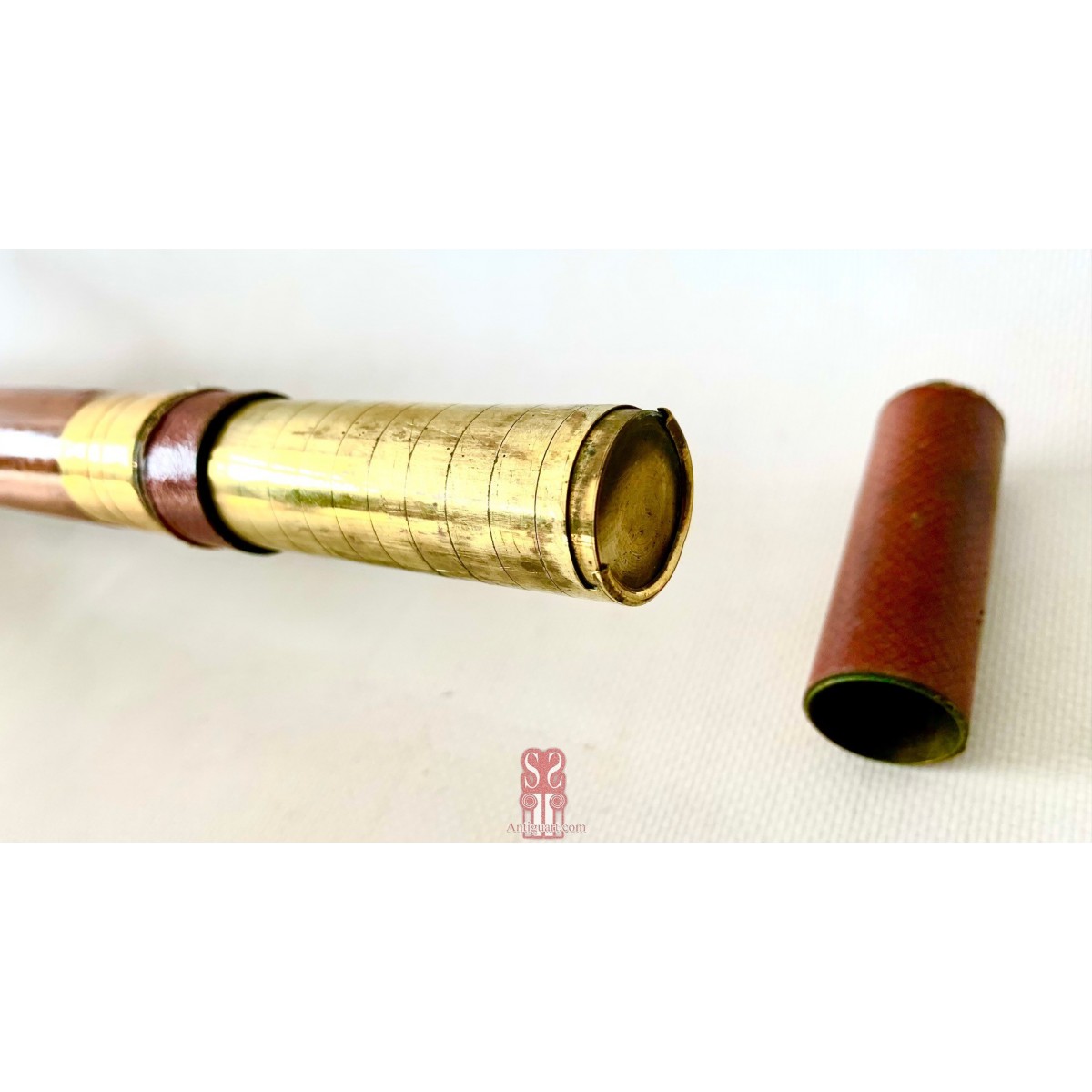 Walking stick coin holder