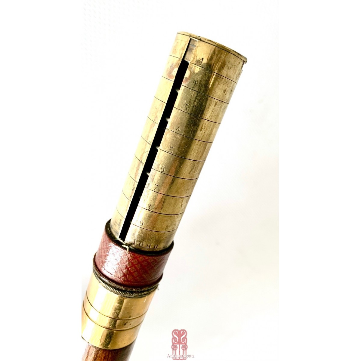 Walking stick coin holder