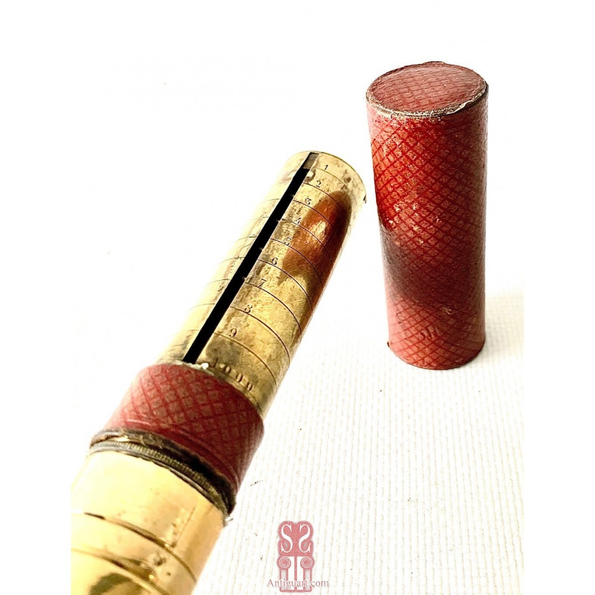 Walking stick coin holder