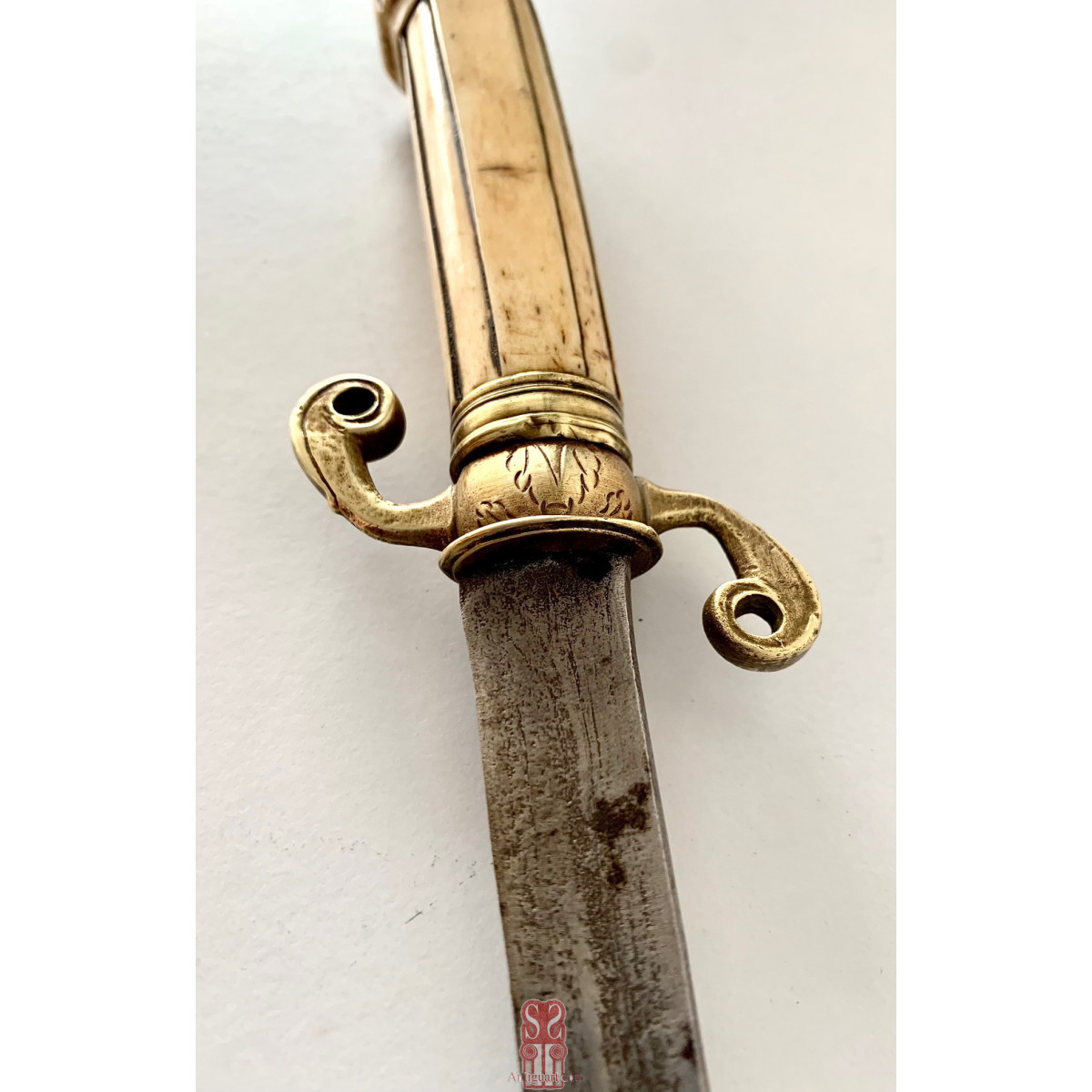 Paloscio da caccia tedesco del 700