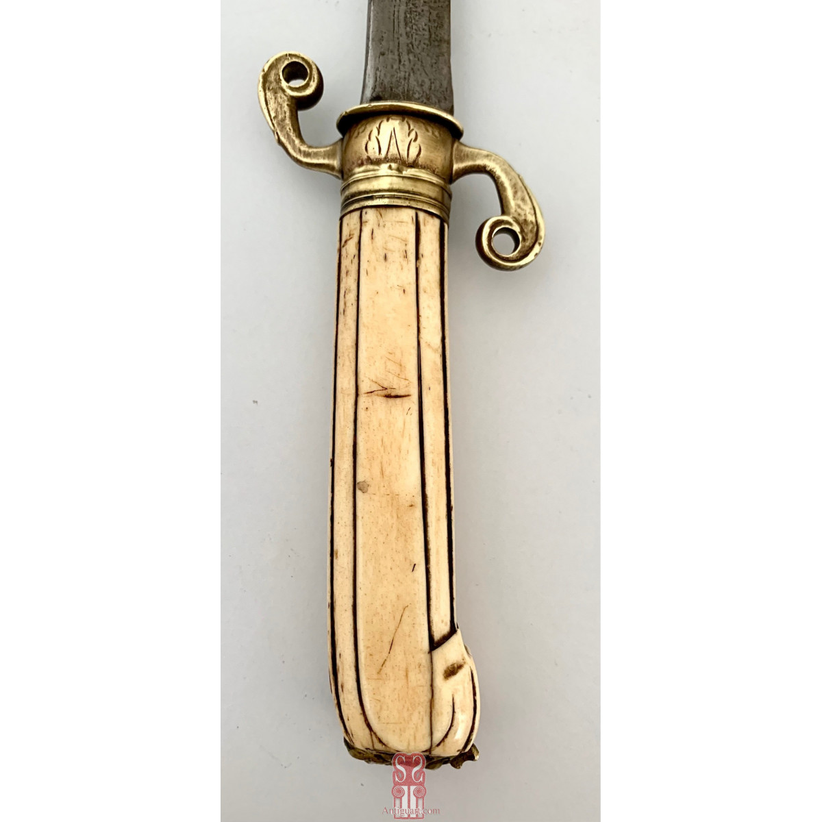 Paloscio da caccia tedesco del 700