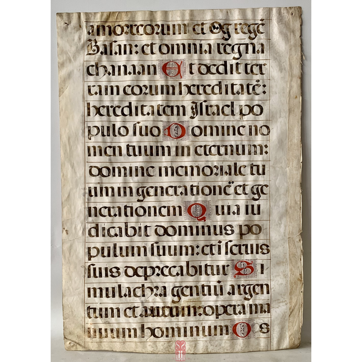 antiphonary sheet, mid-16th 