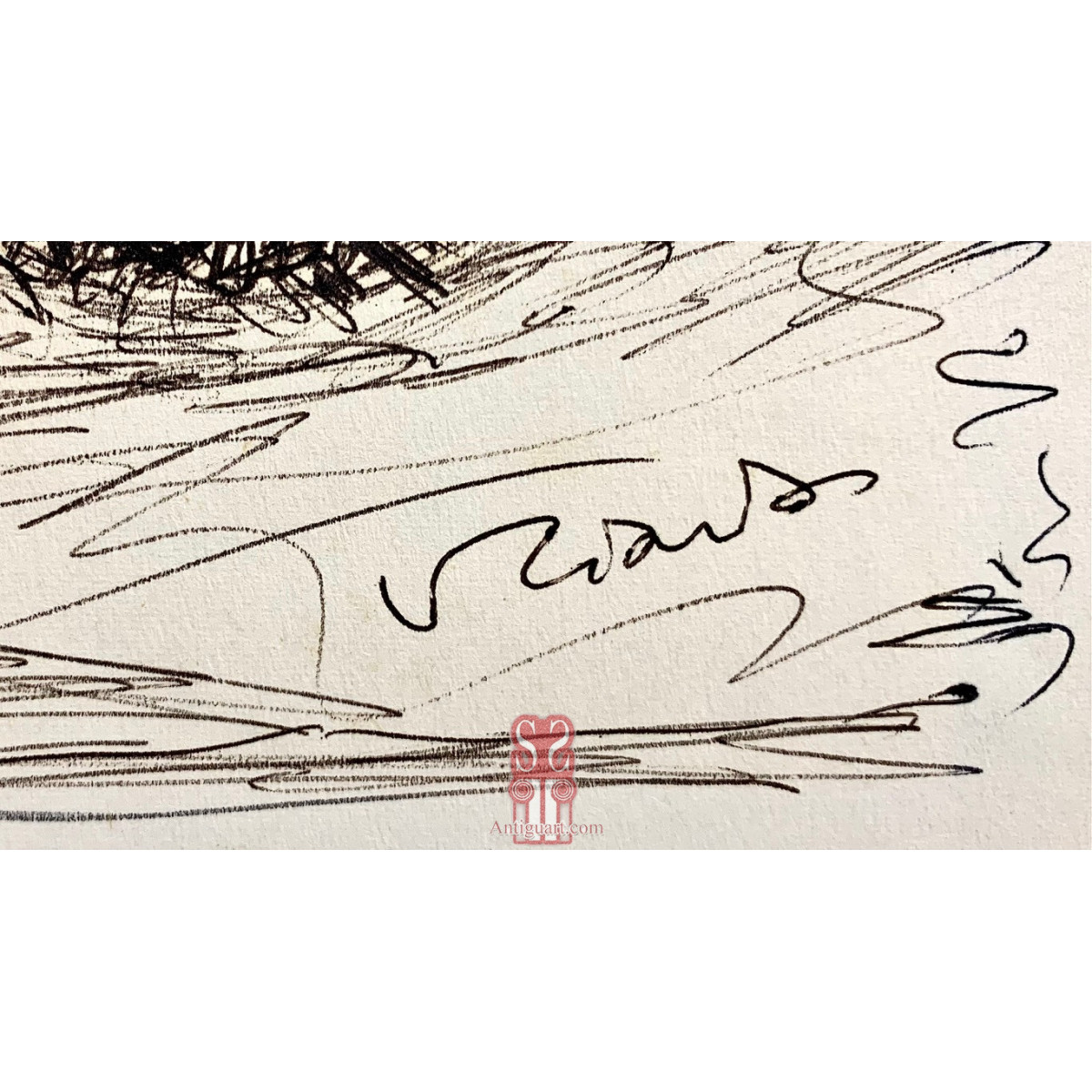 “Cabracho con erizo de mar”, Vincenzo Ciardo