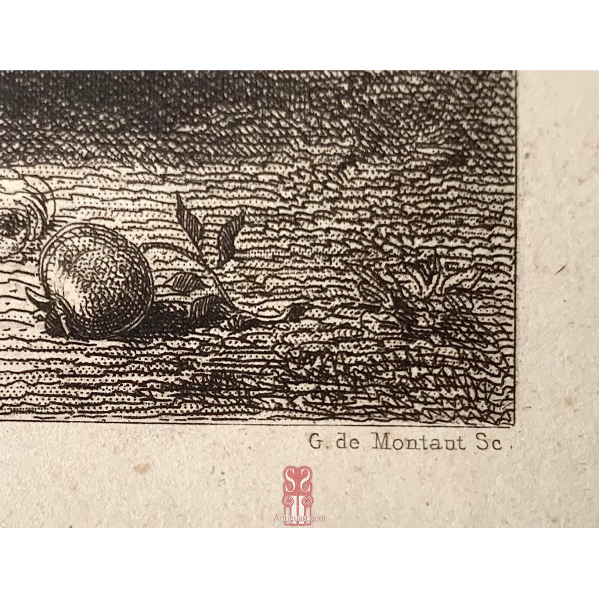 “Baccanale, Le fleurs”, stampa del XIX secolo