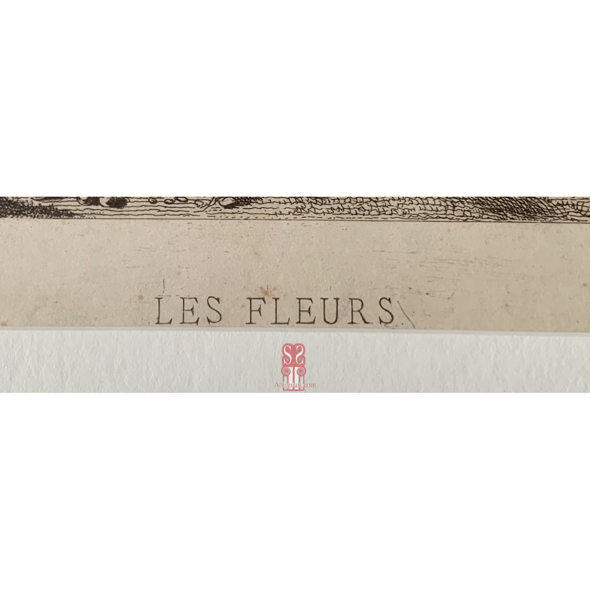 “Baccanale, Le fleurs”, stampa del XIX secolo