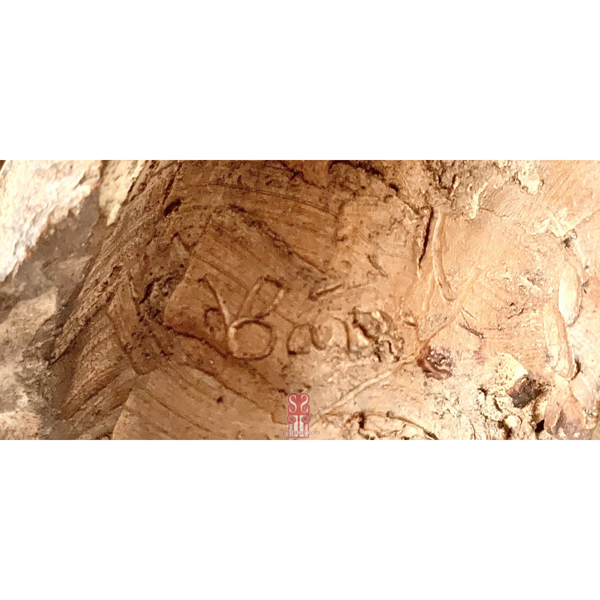 Vicente Bañuls Aracil (Alicante 1866 - 1935). Busto de terracota.