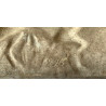 Bajo relieve, escena con perro de caza 1900 circa.