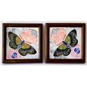 Pareja azulejos decó, mariposas .