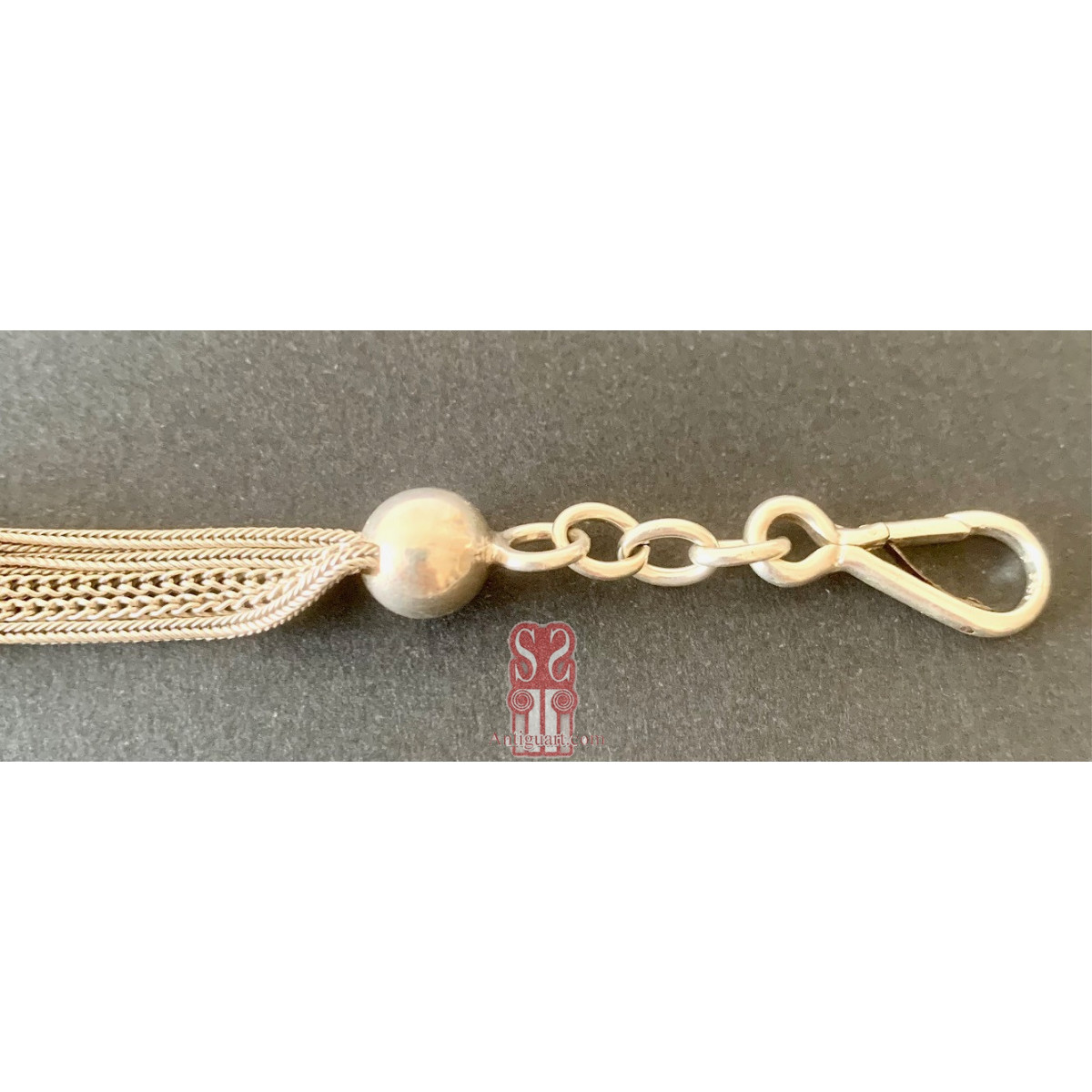 Leontina de plata de ley y esmaltes (1900-1920)