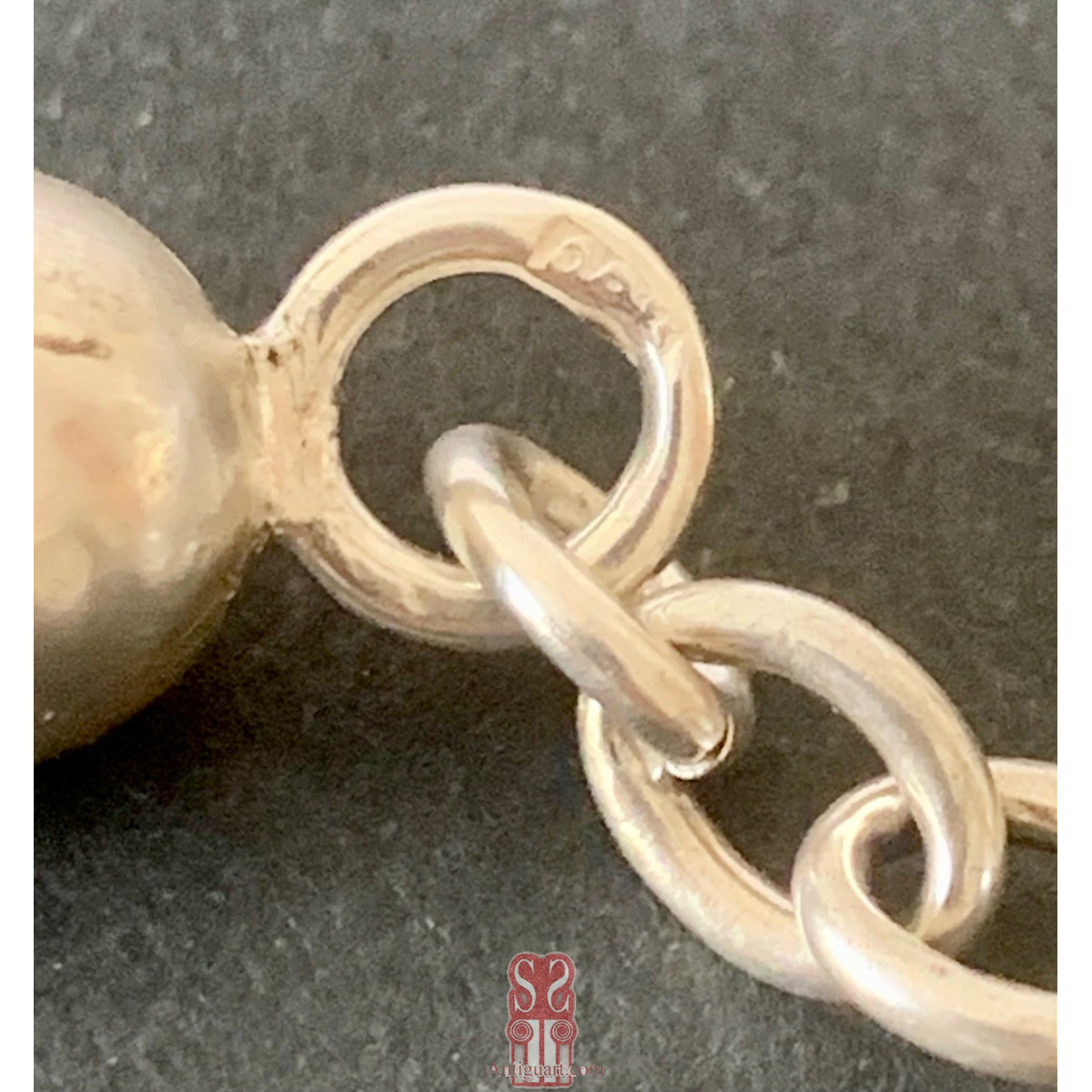 Leontina de plata de ley y esmaltes (1900-1920)