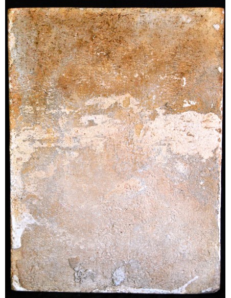 Azulejo valenciano "asegurada"